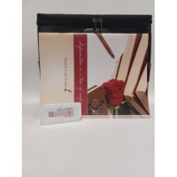 black_box_fll_book_digital_drive-500x500